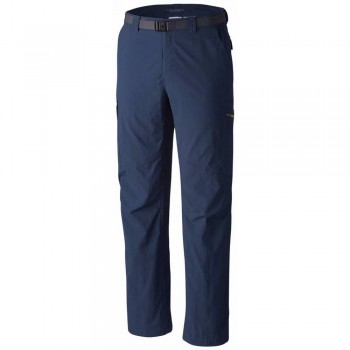 Фото Брюки Silver Ridge Cargo Pant Men's Pants (1441681-492), Цвет - темно-синий, Городские
