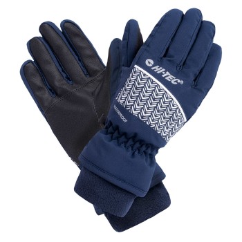 Фото Перчатки горнолыжные LADY FLAM (LADY FLAM-BLACK IRIS), Цвет - черный, синий, Горнолыжные перчатки