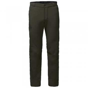 Фото Утепленные брюки ACTIVATE THERMIC PANTS MEN (1503601-5515), Цвет - темно-зеленый, Городские