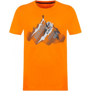 Фото Футболка Boy's T-shirt (103121-D2), Цвет - оранжевый, Футболки