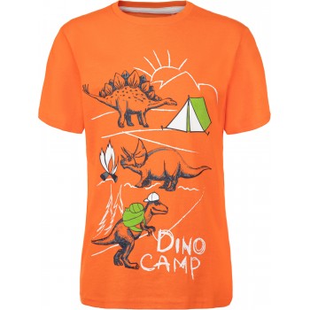 Фото Футболка Boy's T-shirt (103977-D2), Цвет - оранжевый, Футболки