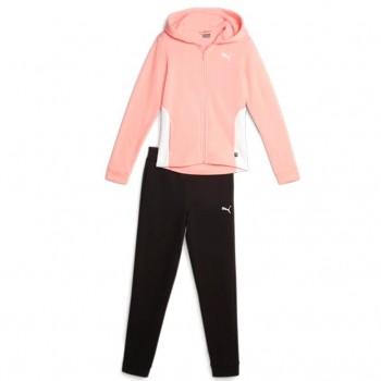 Фото Костюм спортивний Hooded Sweat Suit FL cl G (676375-63), Колір - рожевий, Комплекти