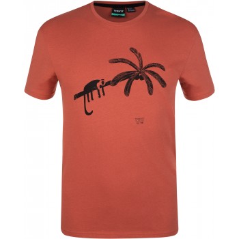Фото Футболка Men's T-shirt (103724-53), Цвет - кирпичный, Футболки