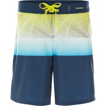 Фото Шорты Men's Board Shorts (S18ATESHM01-M1), Цвет - синий, Спортивные шорты